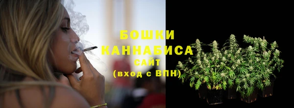 трава Магас